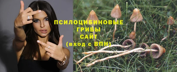 ГАЛЛЮЦИНОГЕННЫЕ ГРИБЫ Алексин