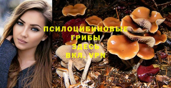 кокаин Алексеевка