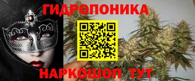 гашик Кохма