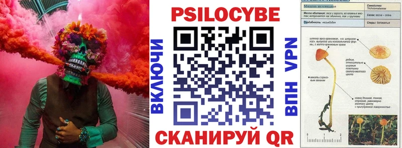 где купить наркотик  Электрогорск  Галлюциногенные грибы ЛСД 