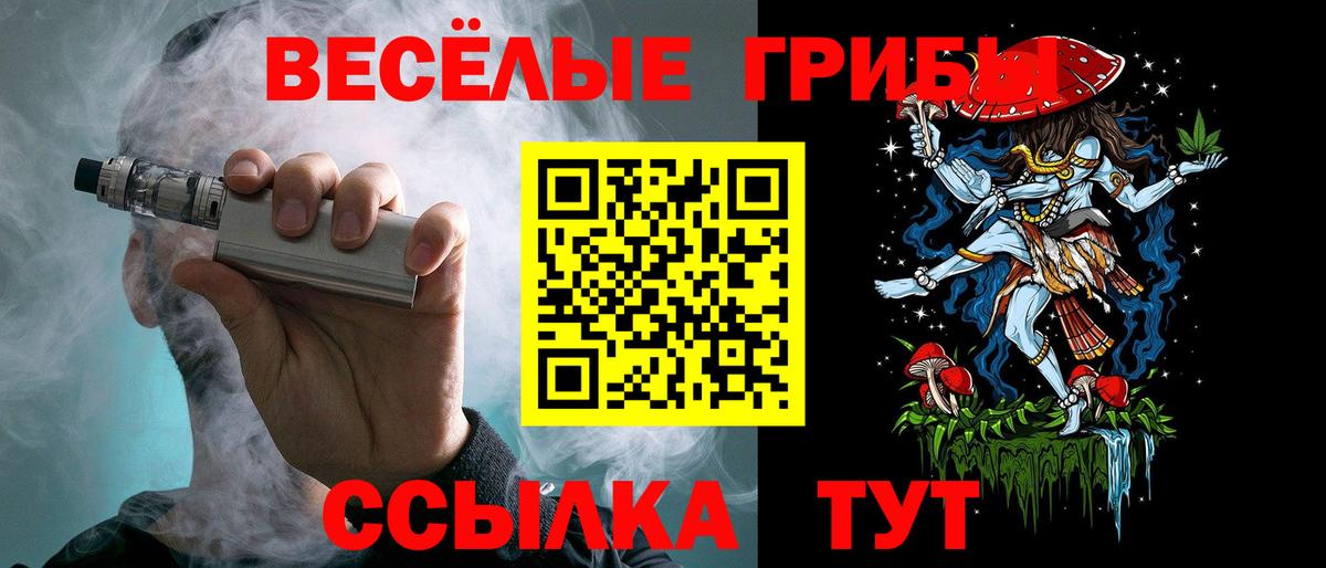 Псилоцибиновые грибы мухоморы Электрогорск
