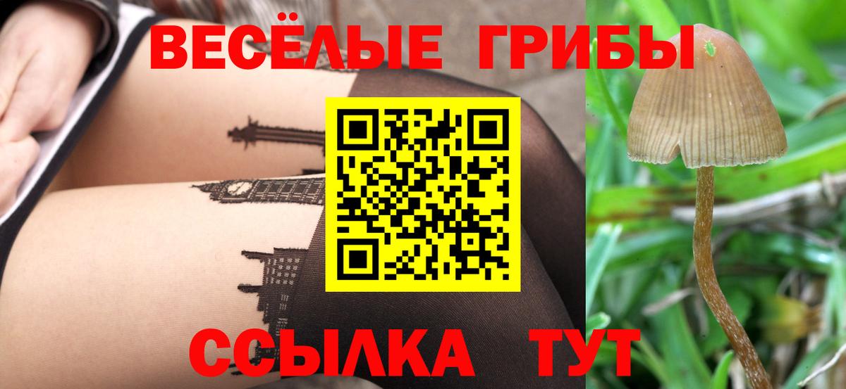где можно купить наркотик  Псилоцибиновые грибы Cubensis  Электрогорск  Вход с VPN  Галлюциногенные грибы ЛСД 